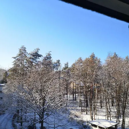 Zdroj 公寓